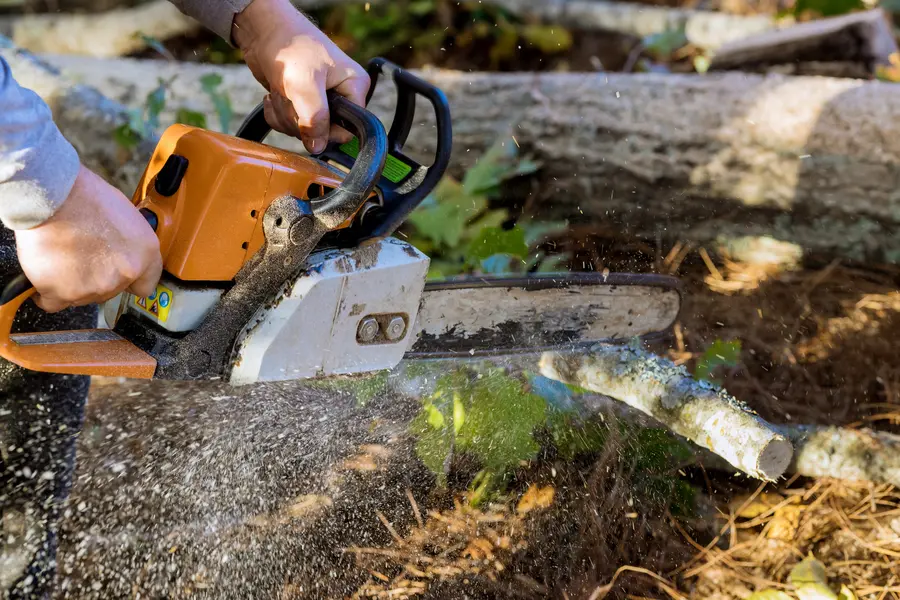 Excellent Tree Services Newnan, GA Excellent Tree Services Newnan, GA