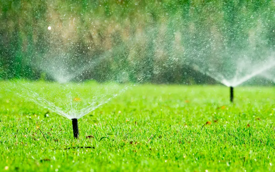 Local Irrigation System Installation Newnan, GA Local Irrigation System Installation Newnan, GA