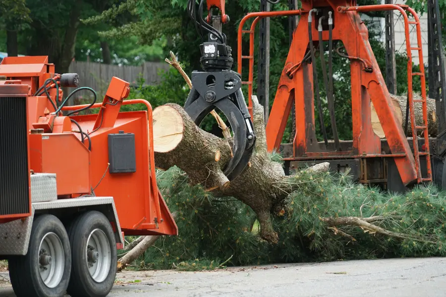 Reliable Tree Services Newnan, GA Reliable Tree Services Newnan, GA