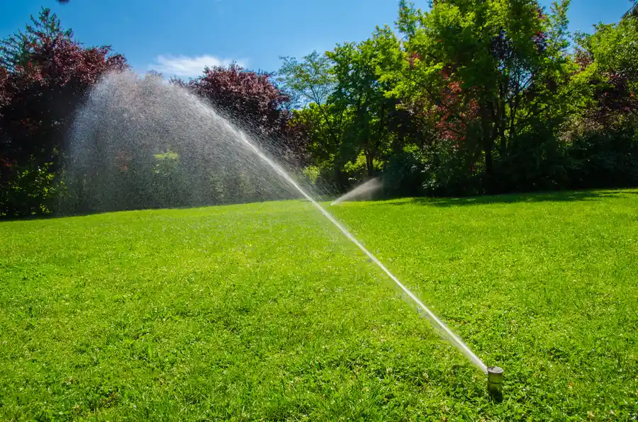 The Environmental Impact Of Proper Irrigation System Installation in Newnan, GA